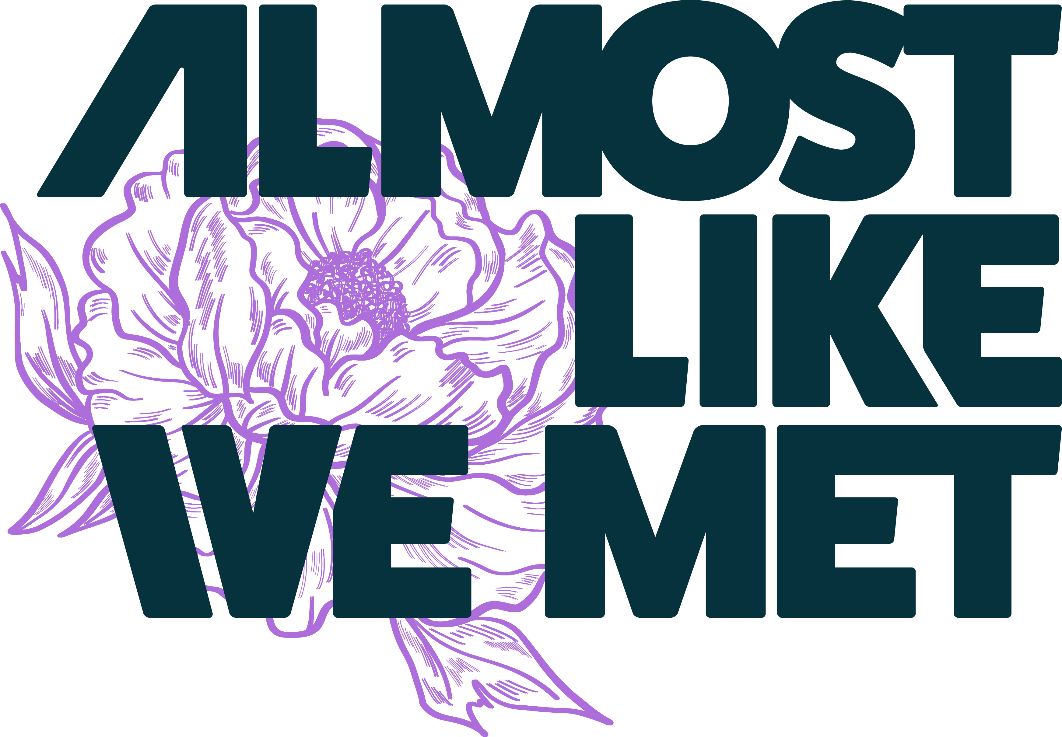 Almost Like We Met